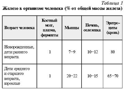 Количество железа в человеке