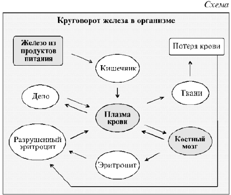 Препараты и лекарства с действующим веществом Железа [III] гидроксид полимальтозат