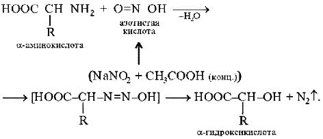 Глицин реагирует с гидроксидом натрия. Реакция глицина с азотистой кислотой. Взаимодействие аминокислот с азотистой кислотой. Глицин и азотистая кислота. Взаимодействие аминокислот с азотной кислотой.