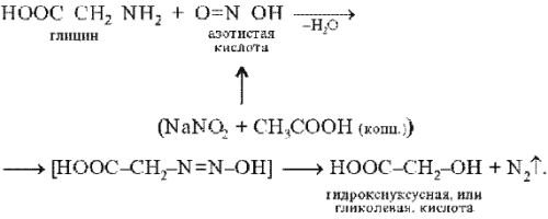 Белки с азотной кислотой. Схема реакции глицина с азотистой кислотой. Глицин и азотистая кислота. Реакция глицина с азотистой кислотой. Глицин и азотная кислота реакция.