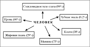 Схема значение водных богатств в жизни человека. Схема зависимости человека от других организмов. Человек живой организм схема. C[TVF pfdbcvvjcnb ;bpyb xtkjdtrf JN lhgeub[ jhudfybpvjd. Схема зависит ли жизнь человека от других живых организмов.