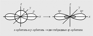 Рис. 4.13. Схема sp-гибридизации электронных орбиталей