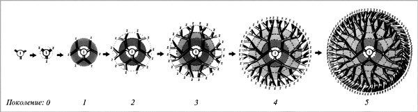 Рис. 1. Двумерные схематические проекции разветвленного дендримера, растущего с сердцевины