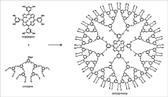 Рис. 3. Схема, иллюстрирующая образование дендримера