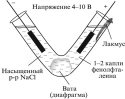 В широкую u образную трубку расположенную вертикально налиты жидкости плотностью p1 и p2 на рисунке