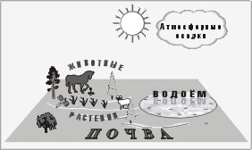 Рис. 3. Правильный ответ на вопрос-почемучку «Круговорот воды в природе»