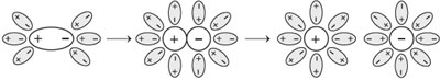 Fig. 7.5. Dissociation of polar molecules in solution