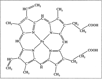 Рис. 2. Группа гема, состоящая из атома железа, окруженного плоской молекулой протопорфирина