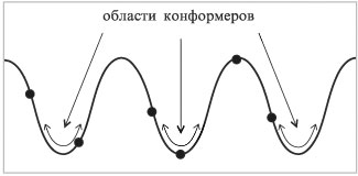 Рис. 4. Области конформеров (обозначены обоюдоострыми стрелками) и примеры конформаций (обозначены точками) на кривой потенциальной энергии этана