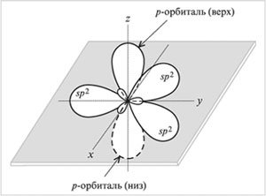 Орбитали (три sp2 и одна р) атома углерода в sp2-гибридизации