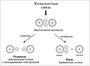 Схема гомолитического и гетеролитического разрывов ковалентной связи