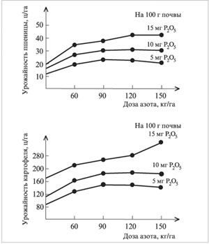 Рис. Совместное влияние фосфора и азота на урожайность культур