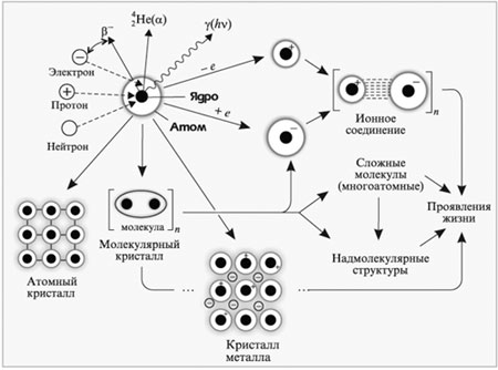 Рис. 2. Строение и свойства атома, образование частиц и веществ, взаимопревращения частиц