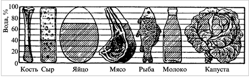 Содержание воды в пищевых продуктах