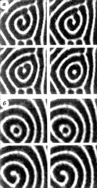 Спиральные структуры, закрученные: а – против часовой стрелки; б – по часовой стрелке