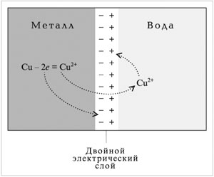 Рис. 8.5. Образование двойного электрического слоя на границе металл–вода (раствор)