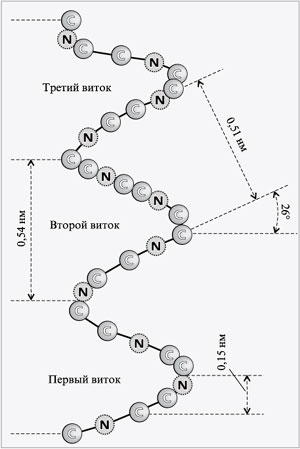 Рис. 3. Схема витков -спирали