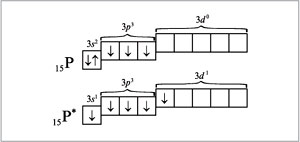 Электронно графическая схема атома фосфора