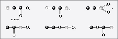 Графические формулы глицина и его пяти изомеров