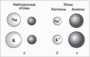 Рис. 3. Радиусы катионов (б) и анионов (в) по сравнению с радиусами соответствующих электронейтральных атомов (а)