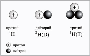 Ядра изотопов водорода