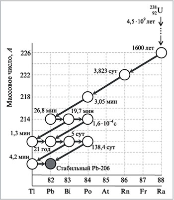 На рисунке представлена цепочка превращений радиоактивного урана 238 в стабильный свинец 206