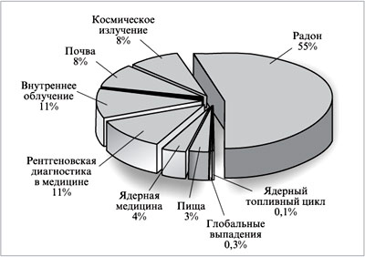 Рис. 5. Диаграмма составных частей (в %) годовой радиационной нагрузки на организм человека на поверхности Земли