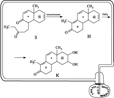 Синтез м. Синтез кортизона. Стрихнин схема синтеза. Конденсация при синтезе холестерина. Полусинтетические аналоги кортизона.