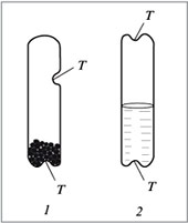 Рис. 2. Внешний вид пробирок с фиксированными количествами реактивов: 1 – пробирка с твердым реактивом; 2 – пробирка с жидким реактивом; Т – участки тонкого стекла