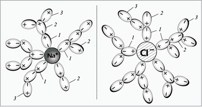 Рис. 3. Гидратация ионов Na+ и Cl– в растворе: 1 – молекулы воды первого слоя; 2 – молекулы воды второго слоя; 3 – молекулы воды третьего слоя