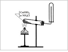 Прибор для получения аммиака