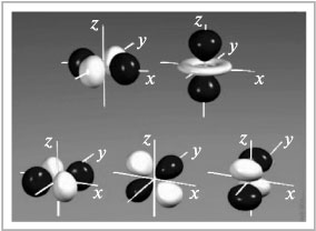 Рис. 10. Истинный вид d-орбиталей третьего энергетического уровня