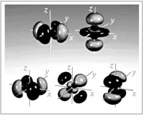 Рис. 11. Истинный вид d-орбиталей четвертого энергетического уровня