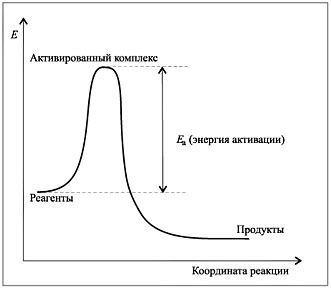 Рис. 7.2. Зависимость энергии реагирующих молекул от координаты химической реакции 