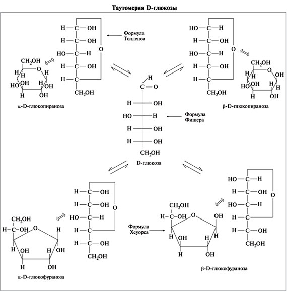 3 формула глюкозы. Таутомерные превращения д Глюкозы. Схема таутомерных превращений d-маннозы. Формулы Фишера и Хеуорса. Таутомерные формы Глюкозы.