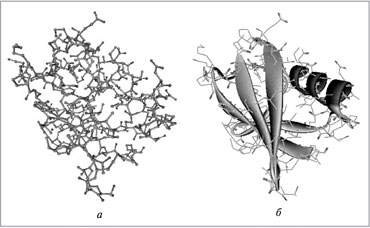 Рис. 2. Строение убиквитина в виде шаростержневой модели (а), а также в форме третичной структуры (б)