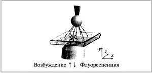 Рис. 1. Посеребренная микросфера на конце иглы сканирующего туннельного микроскопа, приближенная к кристаллу, нижняя поверхность которого покрыта для проводимости золотом. Стрелка вверх соответствует возбуждению молекул, а вниз – их флуоресценции