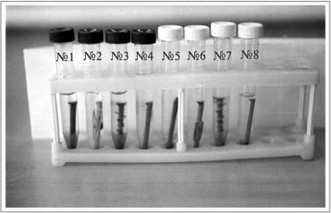 Рис. 6. Гвозди, помещенные в водопроводную (пробирки с темными крышками) и «морскую» (пробирки со светлыми крышками) воду