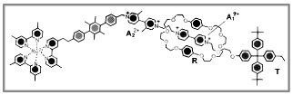 Рис. Структура ротаксана: слева – Ru2+ в окружении шести гетероциклов, справа – электронодонорный макроцикл R, А22+ и А12+ – «станции» пребывания макроцикла R, крайний справа – терминальный «стоппер» Т продвижения макроцикла R