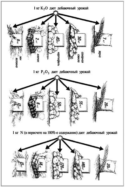 Влияние на плодородие почвы 1 кг питательных веществ