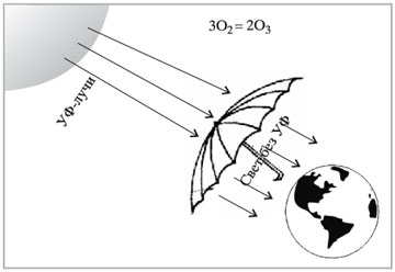Озоновый зонтик от Солнца