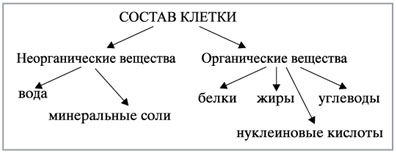 Вещества входящие в клетку. Схема неорганические вещества клетки. Схема органические и неорганические вещества клетки. Органические соединения клетки схема. Схема органический и неорганический состав клетки.