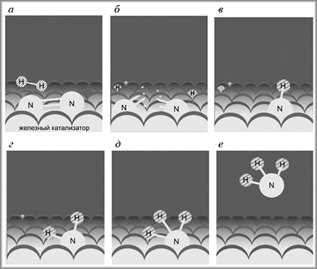 Стадии синтеза аммиака на поверхности железного катализатора: а – адсорбция; б – диссоциация с образованием радикалов; в, г, д – присоединение атомов водорода к атому азота; е – отделение молекулы аммиака от поверхности катализатора