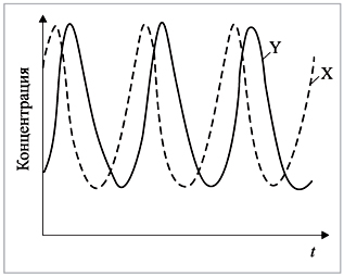 Рис. 6. Колебания концентраций интермедиатов в зависимости от времени в открытой системе