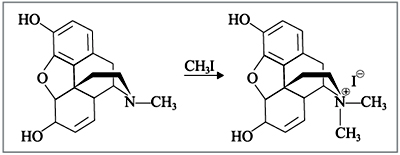 Рис. 1. Метилирование алкалоидов (на примере морфина) 