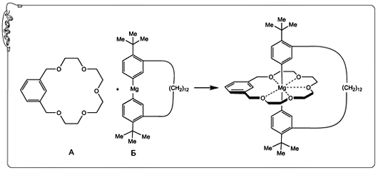 Рис. 23. Краун-эфир (А) и магнийорганический цикл (Б) образуют катенан при одностадийном синтезе