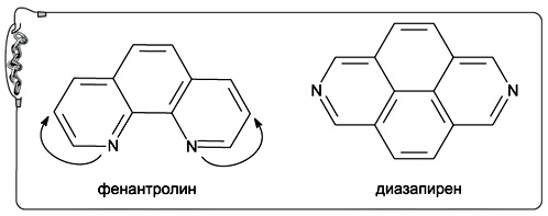 Рис. 24. Молекула с атомами азота, расположенными близко (фенантролин) и разнесенными по краям (диазапирен) 