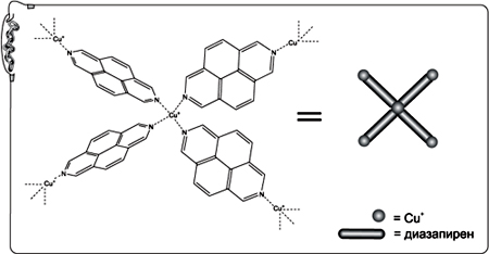 Рис. 25. Координация молекул диазапирена вокруг иона меди 