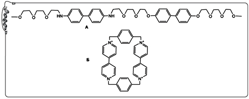Рис. 32. «Строительные блоки» для необычного ротаксана: А – цепочка полиэфира с двумя дифенильными фрагментами; Б – молекула-кольцо (четырехзарядный катион) 