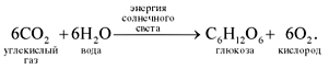 Глюкоза кислород